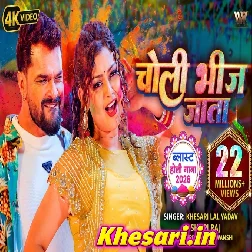 Choli Bheej Jata Raja Ji Pasina Lahanga Las Las Kare Fagun Ke Mahina Me Video Song