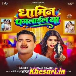 Khojata Vitamin Hamar Dhamin Paglail Ba